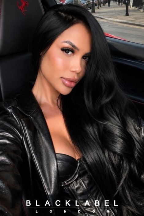 Hanna -     Brazilian    Exotic  Escort in Paddington